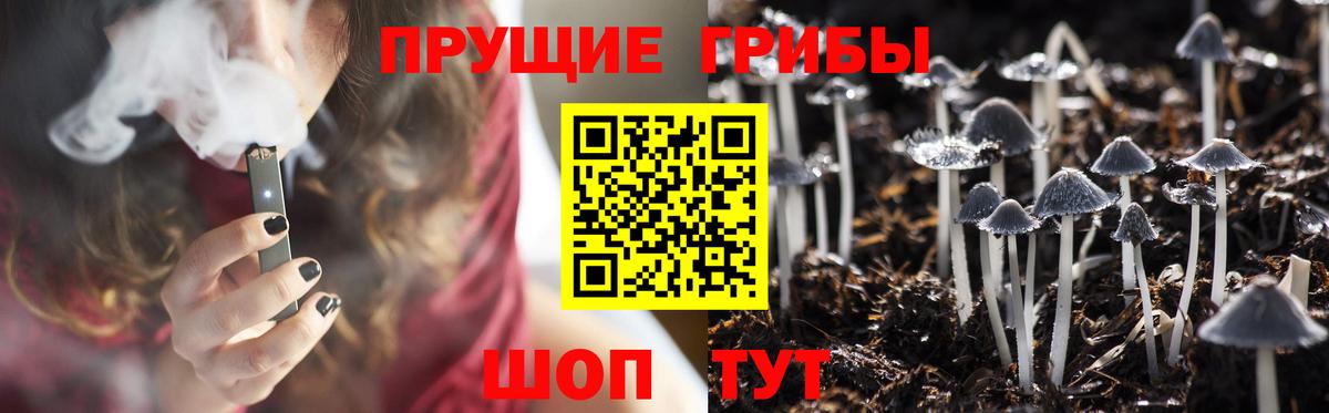Лениногорск  Псилоцибиновые грибы GOLDEN TEACHER  Вход с VPN 